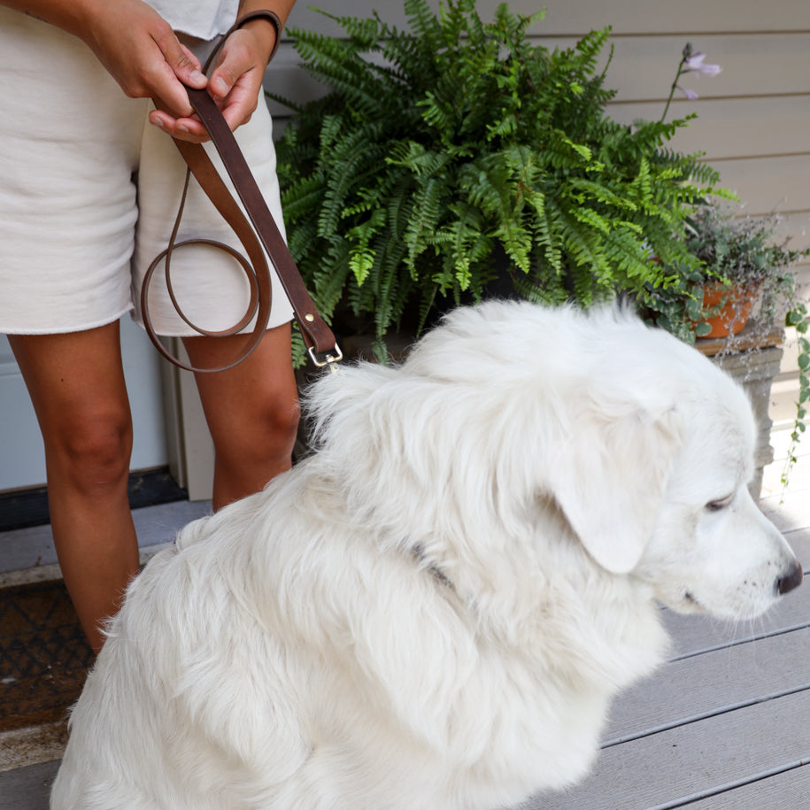 Leather Dog Leashes