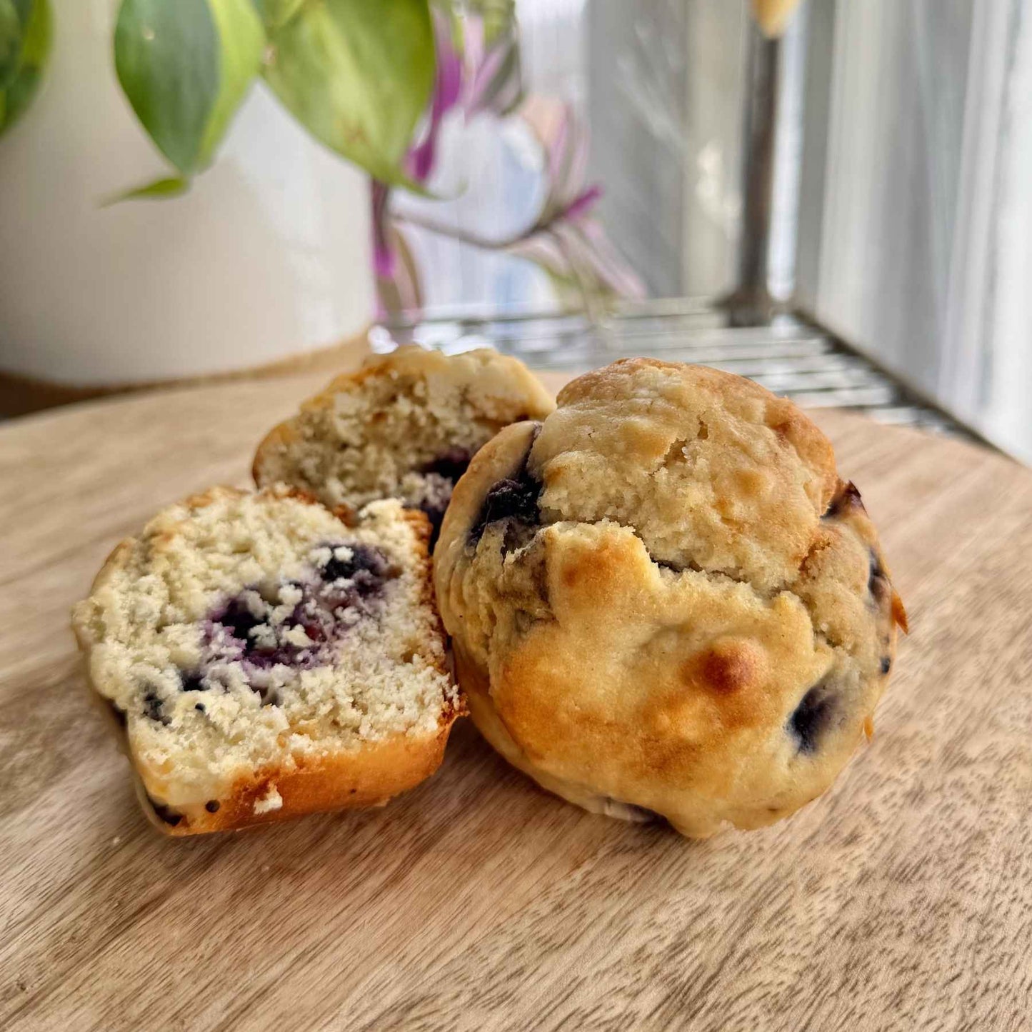 Blueberry Sourdough Muffins