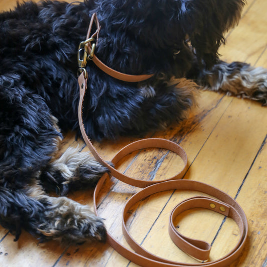 Leather Dog Leashes