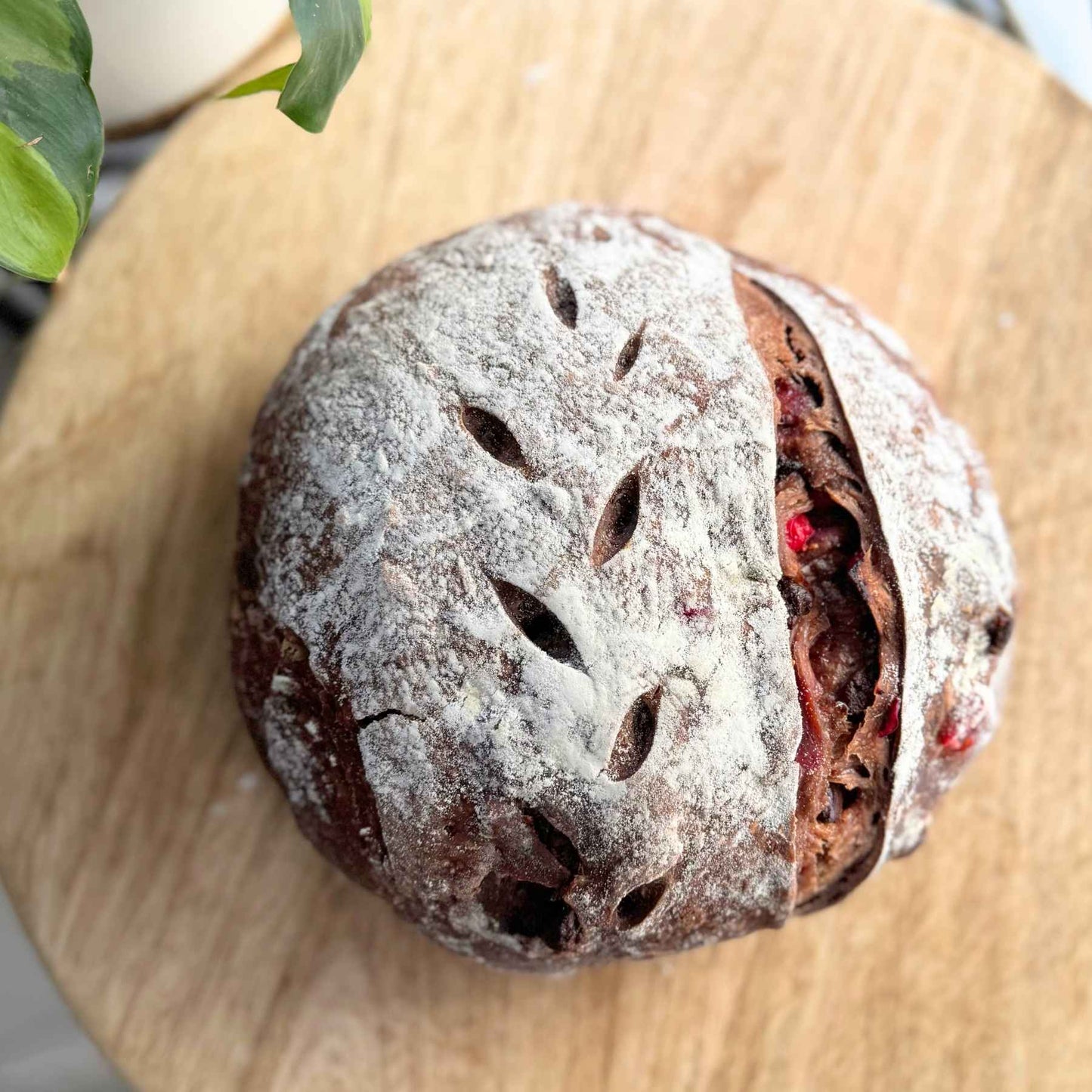 Chocolate Cranberry Sourdough Loaf**
